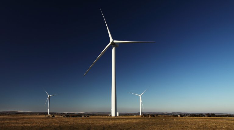 Trump Expected to Propose Severe Budget Cuts to Renewable Energy