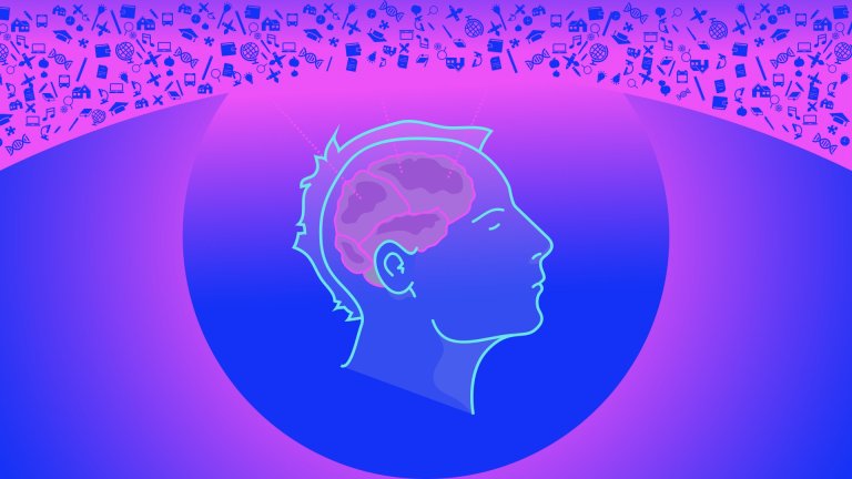 Scientists Tease Out How the Brain Processes Sensory Experiences
