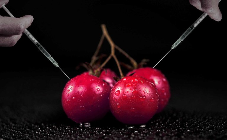 genetically modified organisms gmo russia