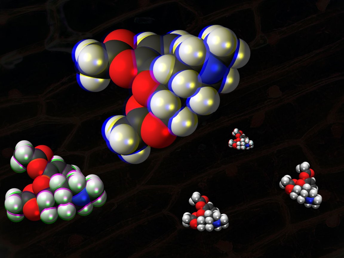medicine drug addiction opioid epdemic