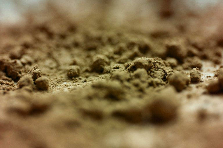 FDA Says Kratom Is An Opioid, Damaging Hopes for Addiction Treatment