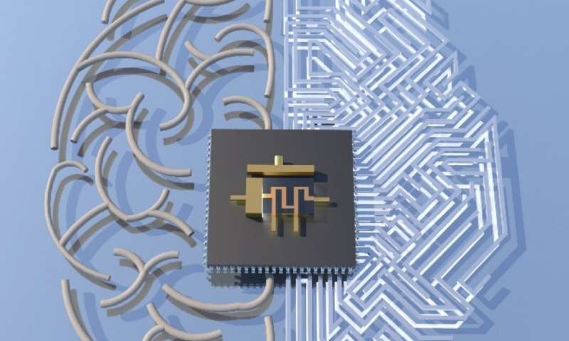 An artist's depiction of the memtransistor, which looks something like a gray square computer chip, in between two halves of a "brain." Image Credit: Hersam Research Group