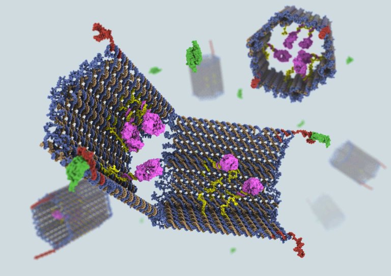 New Nanobots Kill Cancerous Tumors by Cutting off Their Blood Supply