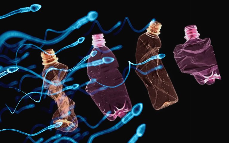 A Possible Culprit in the Infertility Crisis: Plastic
