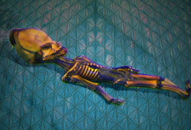 Chileans Criticize US Scientists Over Treatment of Ata the “Alien” Mummy