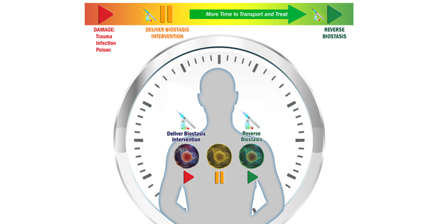 Image Credit: DARPA