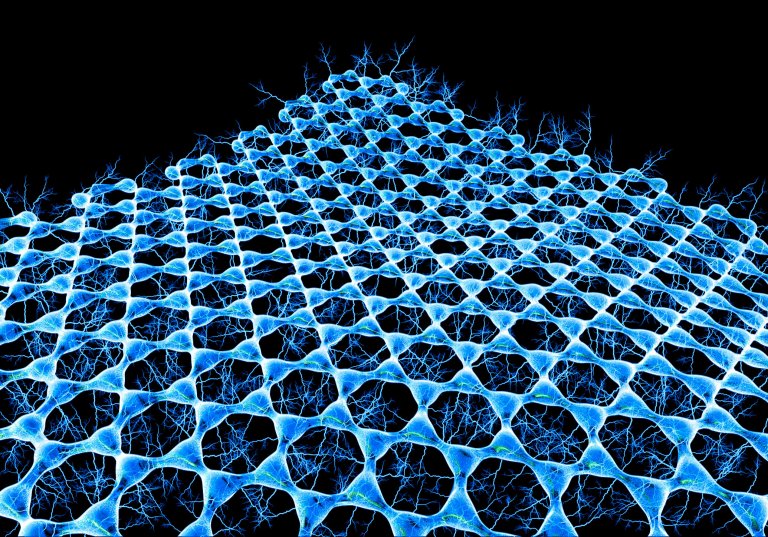 Graphene Could Be the Superconductor Scientists Always Dreamed Of