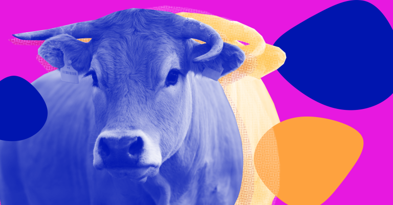 Hacking a Cow’s Gut Bacteria Could Make More Meat, Less Pollution