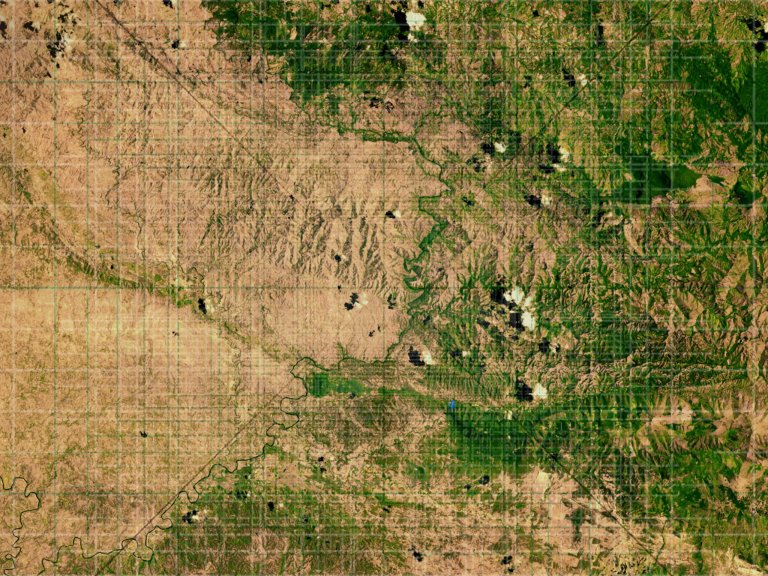 Sensors Equipped With AI Could Thwart Illegal Deforestation