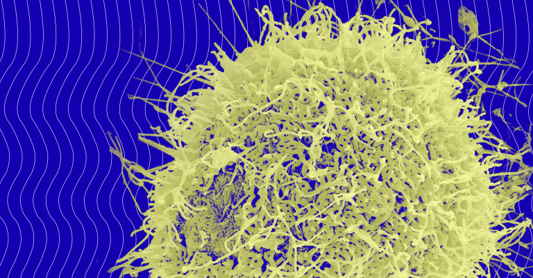 The WHO Is on the Lookout for the Disease That May Be the Next Global Pandemic
