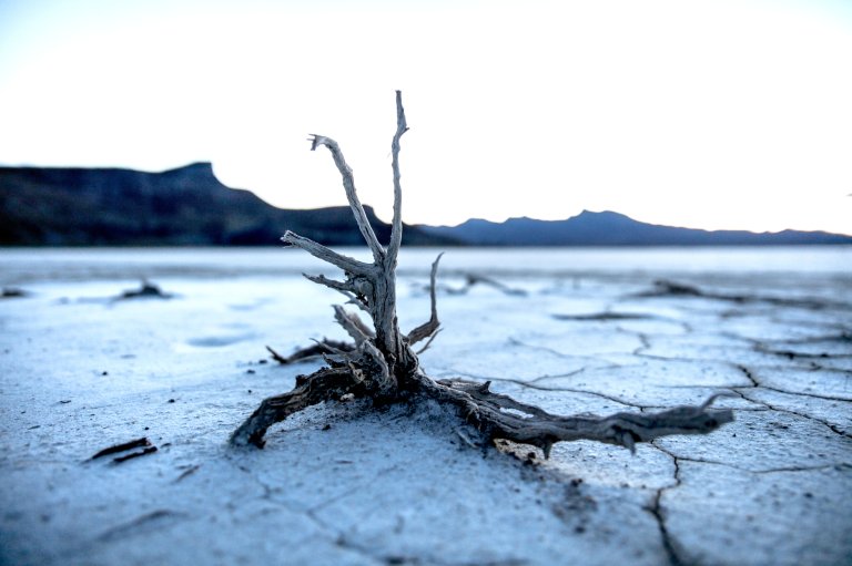 New Climate Report Forthcoming, Despite Trump’s Climate Change Views