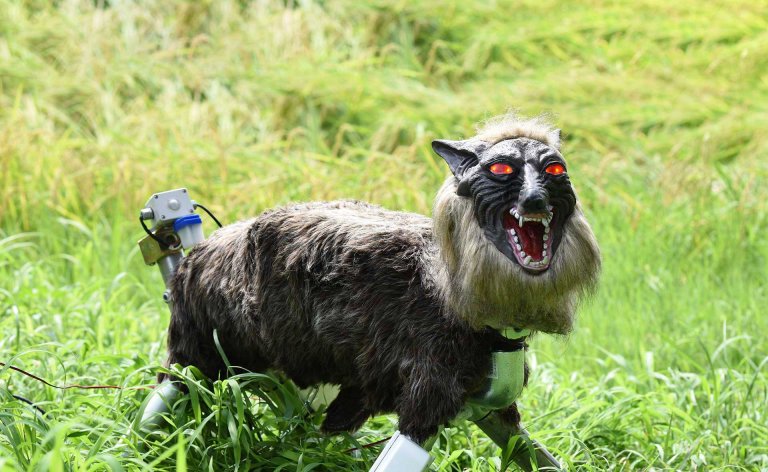 This Terrifying Robot Wolf Is Protecting the Crops of Japanese Farmers