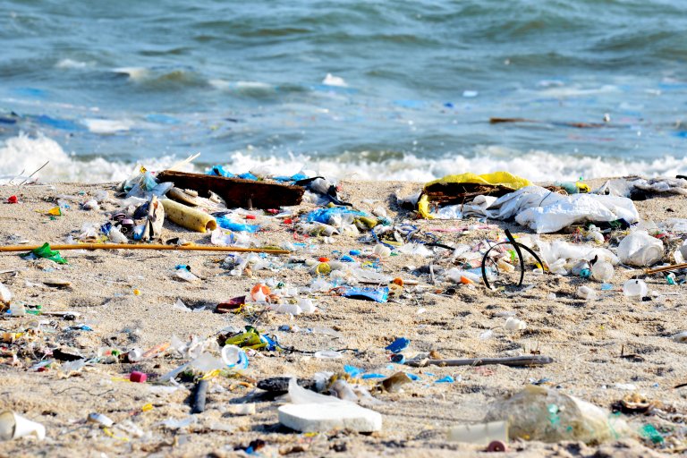 Shocker: Efforts to Make Oceans Cleaner Are Working (When You Aren’t Sabotaging Them)
