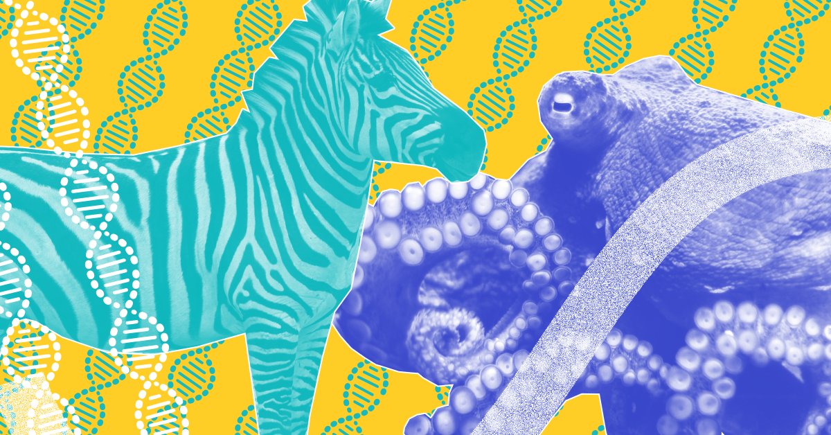 Plan to Create a Genetic Rolodex of Life on Earth Could Save Lives