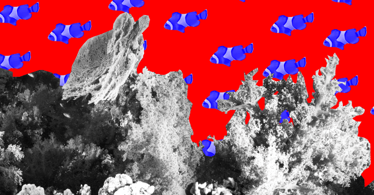 To Protect Endangered Coral Reefs, Researchers Need Legal Recourse