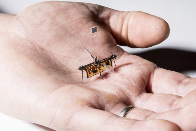 This Cute Little Robot Fly Is The First Without A Wire
