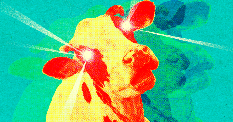 Thanks to Contact-wearing Cows, Digital Systems Could Soon Get Much Harder to Hack