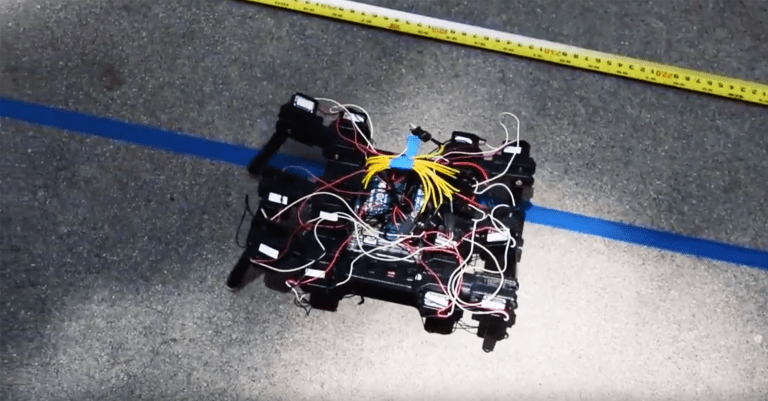 Watch These Animal-Inspired Robots Find Their Footing