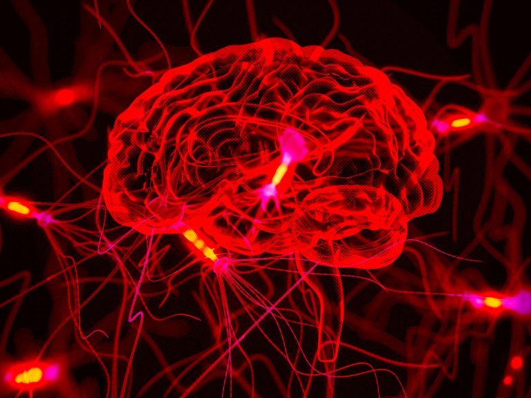 To Help The Body Fight Chronic Disease, Scientists Learn To Decode Brain Signals