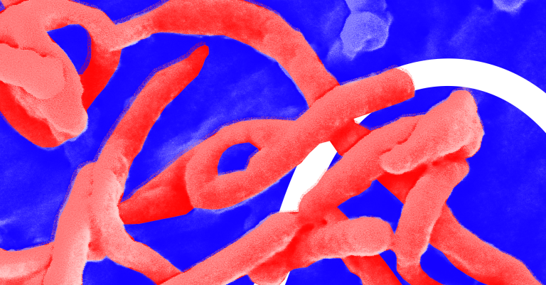 Ebola is Back. Here’s How This Outbreak is Different.