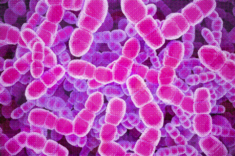 No, Seriously, We May Finally Have a Drug to Beat the Common Cold