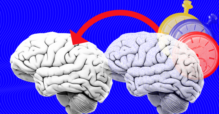 Scientists Transferred Memories From One Snail to Another. Someday, They Could Do The Same in Humans.