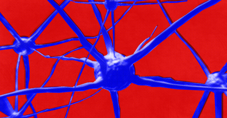 Gamers Built a “Digital Museum” That Unlocked New Secrets of the Brain