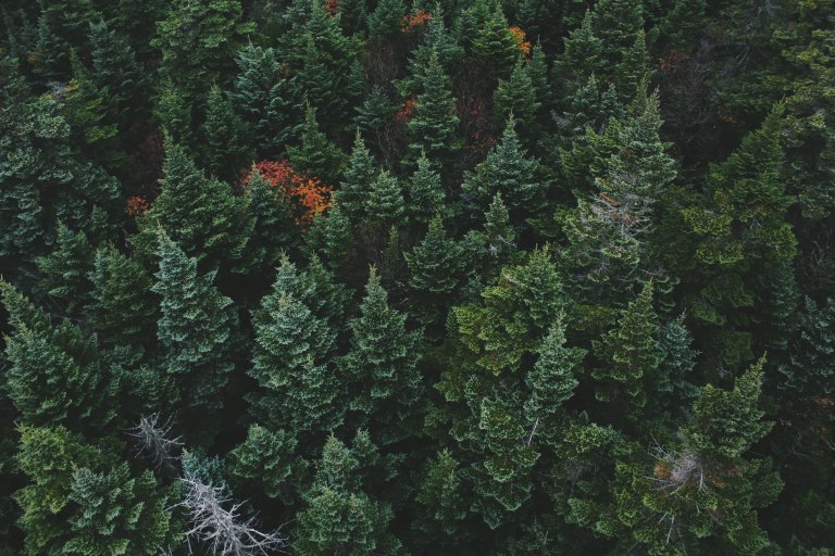 As It Turns Out, Environmentally ‘Protected’ Lands Really Aren’t