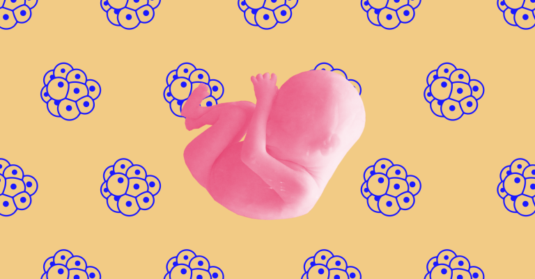 We Can Now Treat Sick Babies With Stem Cells Before They’re Even Born