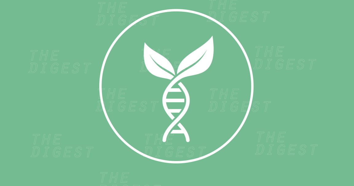 According to Europe's highest court, gene-edited crops are genetically modified organisms and should be regulated the same way as GMOs.