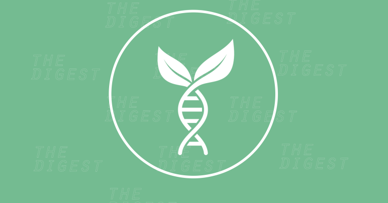 According to Europe's highest court, gene-edited crops are genetically modified organisms and should be regulated the same way as GMOs.