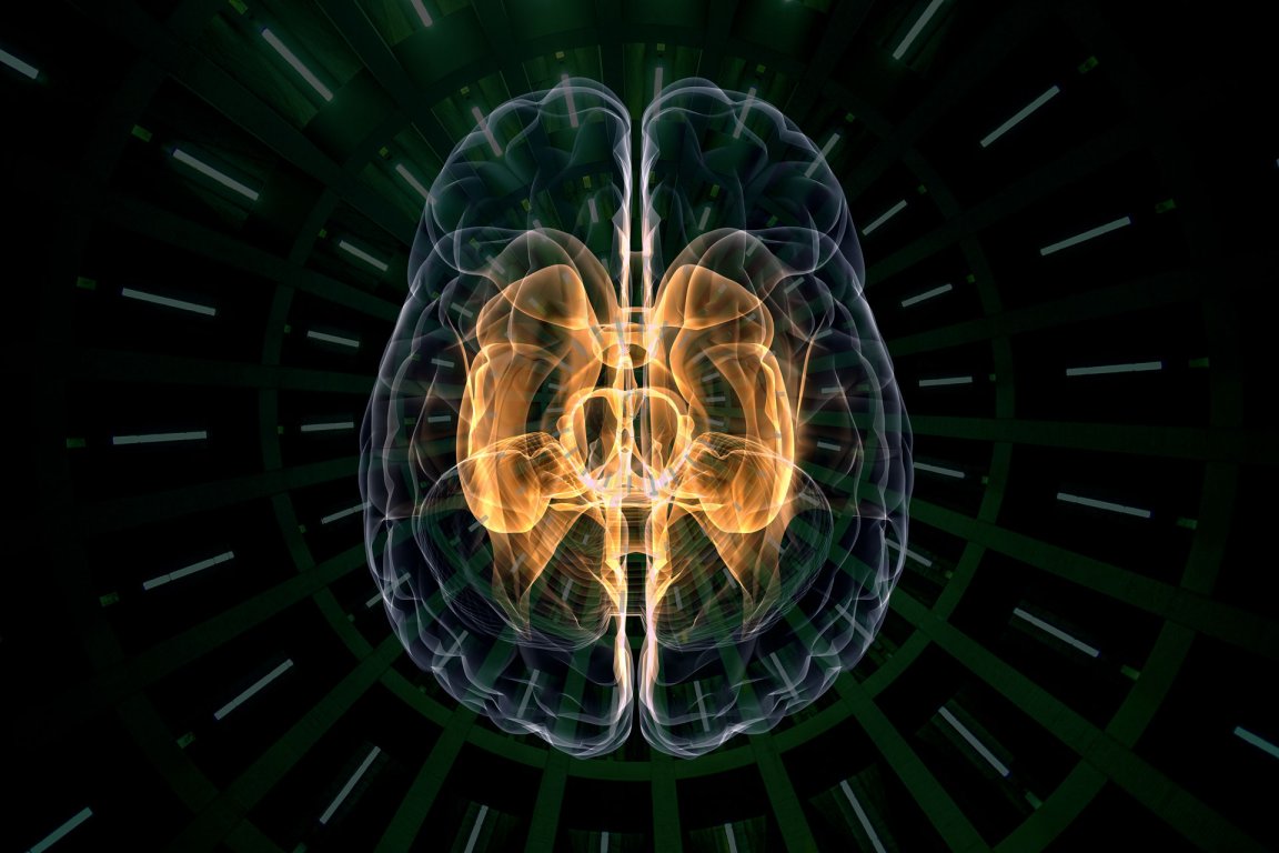 A panel of venture capitalists and other experts on financing AI startups agree: to get a truly general AI system, governments will need to step up.