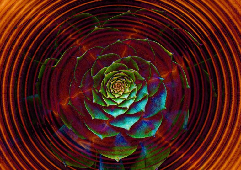 Scientists have undertaken a project to unlock Bioinspired Light-Escalated Chemistry (BioLEC), a new type of science that could help replace fossil fuels.