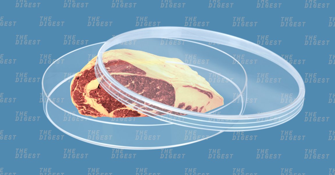 Included in Y Combinator's 2018 batch of companies is the Good Food Institute (GFI), a non-profit focused on accelerating the adoption of clean meat.