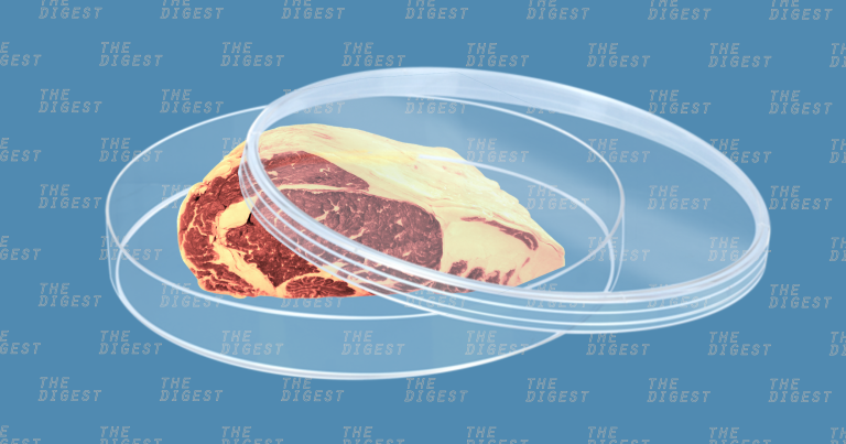 Included in Y Combinator's 2018 batch of companies is the Good Food Institute (GFI), a non-profit focused on accelerating the adoption of clean meat.