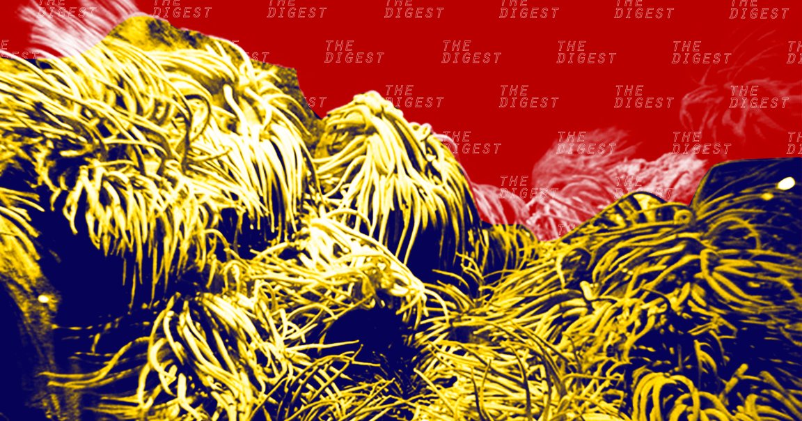 Using a combination of AI and 360-degree imaging, researchers identify a type of coral reef seemingly impervious to global warming.