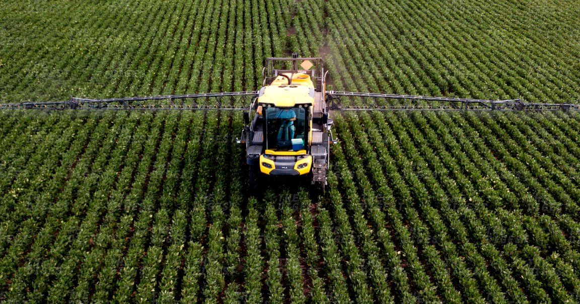 On Friday, a CA court ruled that Monsanto owed a groundskeeper $289 million because its weedkillers containing glyphosate gave the man terminal cancer.