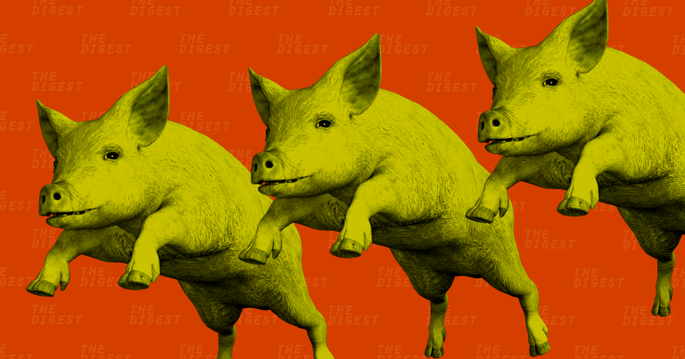 Are Pig Organs Safe to Transplant Into Humans? Now We Have A Way To Find Out.