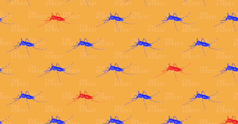 Alphabet AI Is Helping Release Sterile Mosquitoes in Singapore