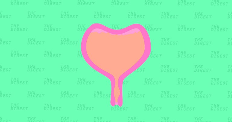 Lab-Grown Bladders Can Save People From a Lifetime of Dialysis