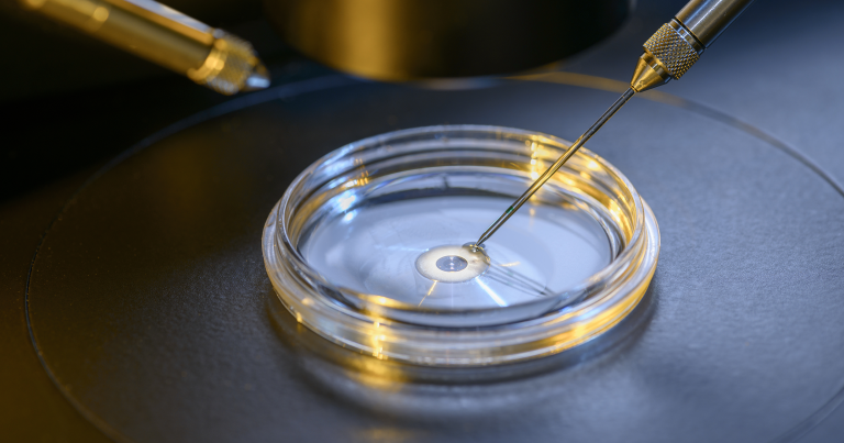 Scientists Just Took A “Spectacular Step” Towards Lab-Grown Human Egg Cells