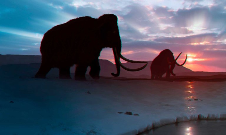 Glimpse: How An Army of Resurrected Mammoths Could Curb Global Warming
