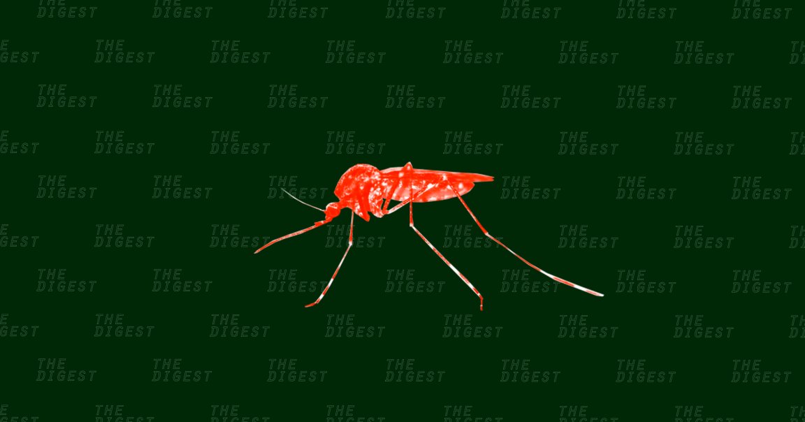 An African nation has agreed to let researchers release genetically engineered mosquitoes into the wild as part of a plan to eradicate malaria.