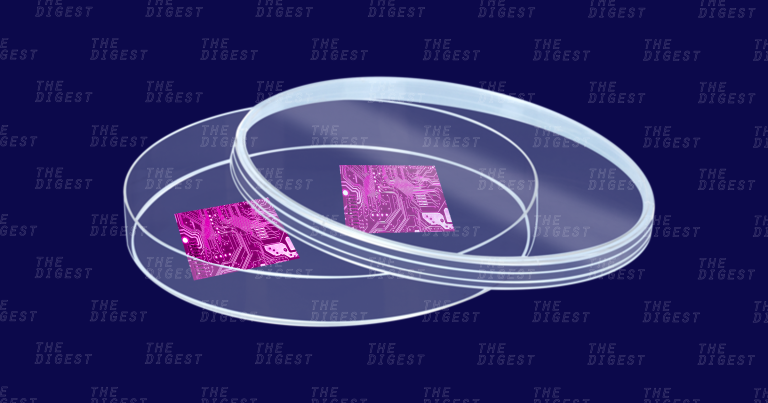 Researchers Just Got Funding to Grow a Neural Network in a Petri Dish