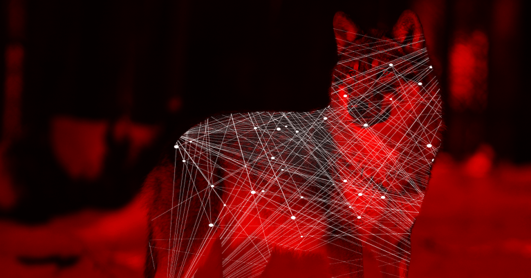 Expert: To Understand an Algorithm, Treat It Like an Animal