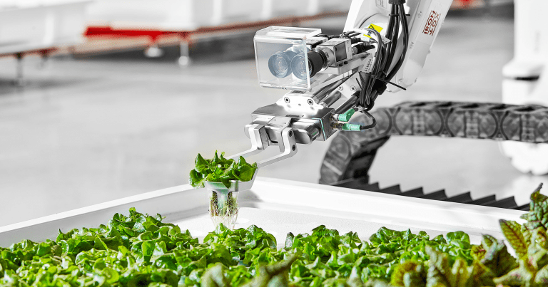 A Startup’s Bold Plan to Open Robot Farms Near U.S. Cities