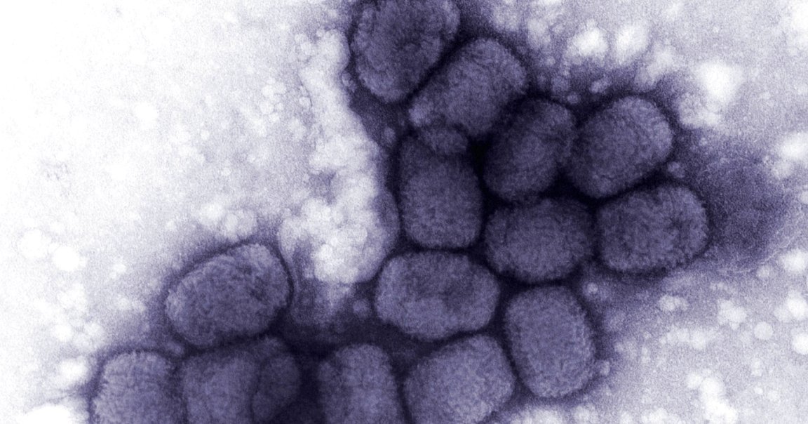 Scientists are arguing about whether you be allowed to publish a paper that could be used to bring back a virus that could cause a deadly pandemic.