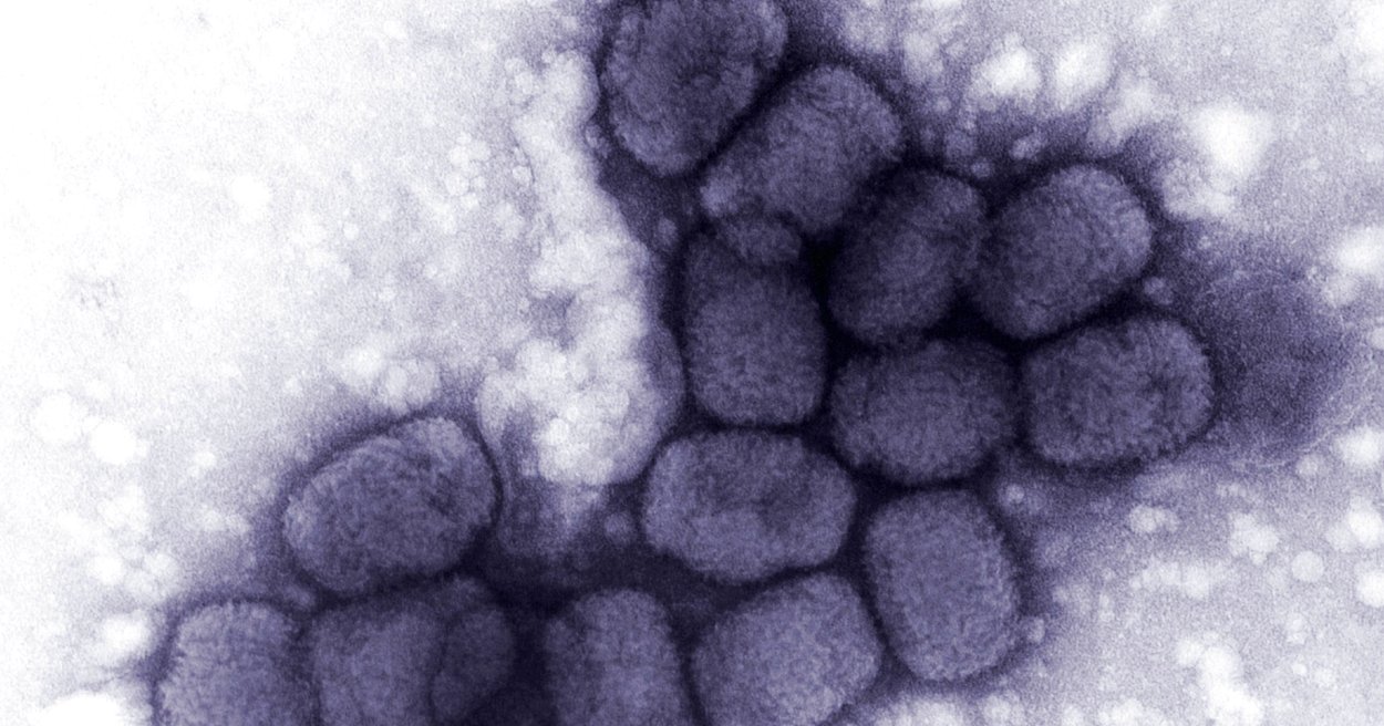Microbiologists Are Suddenly Really, Really Worried About Synthetic ...