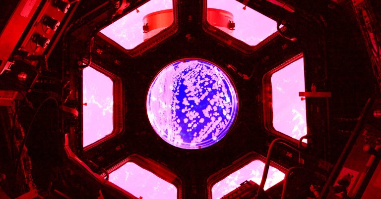 Antibiotic-Resistant Bacteria Found on International Space Station