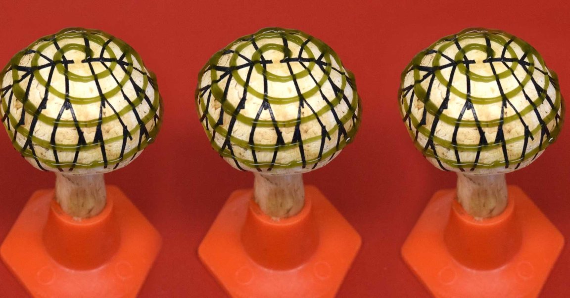 Researchers created bionic mushrooms that could keep electricity-generating cyanobacteria alive longer than other surfaces.